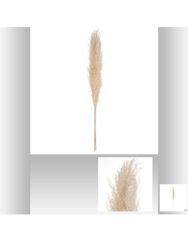 179282 - pampa nat x3 gobi beige h110