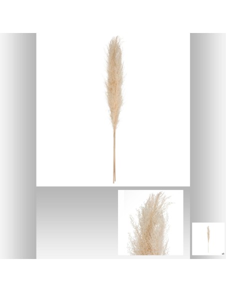 179282 - pampa nat x3 gobi beige h110