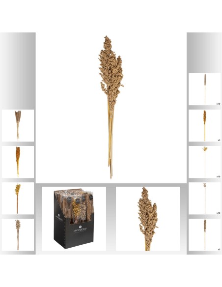 179218 - display tiges sechees nat oc
