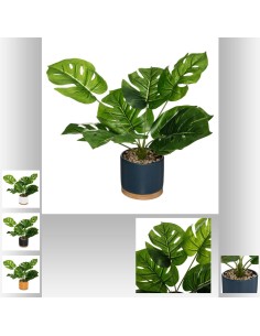 179245-plante pot crmq bambou ass h35