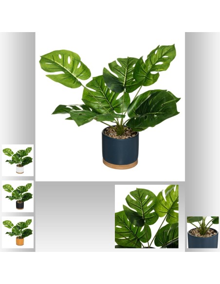 179245-plante pot crmq bambou ass h35