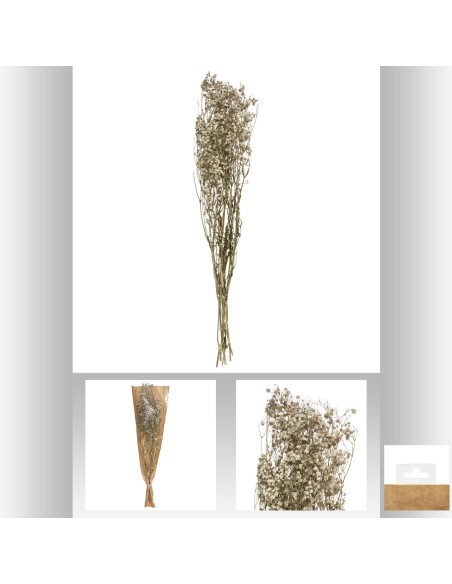 179317-gypsophile nat seche h58