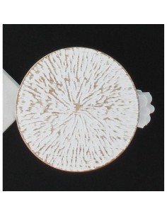 30012101 - pince metal gm archi x2 - blanc/or