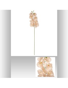 121517b-tige orchidee edi h108