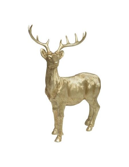 199291 - renne dore h114