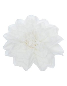 198712 - sdn dahlia neige blanc 20cm