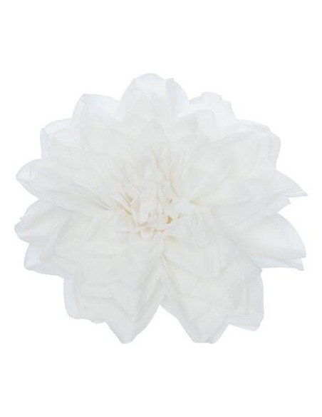 198712 - sdn dahlia neige blanc 20cm