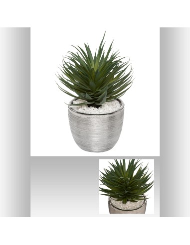 173009 - succulente pot crmq shine h27 D. 18 x H. 24,5 cm