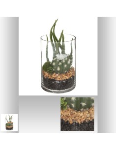 terrarium cactus vr h19,5 L. 10 x P. 10 x H. 19,8 cm