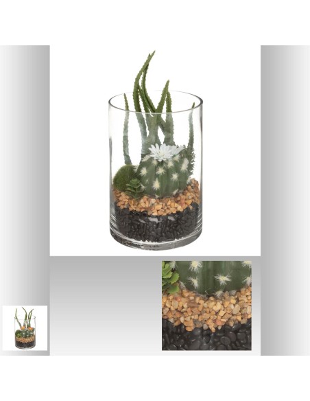 terrarium cactus vr h19,5 L. 10 x P. 10 x H. 19,8 cm