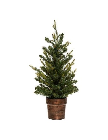 198541 - sapin helsinki pot 70cm