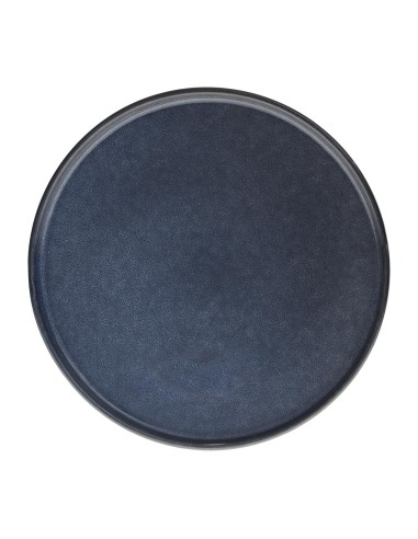 154635a - ass plate terre inc bleu d27