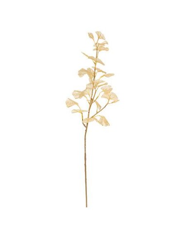 199485 - bch ginkgo dore 77cm