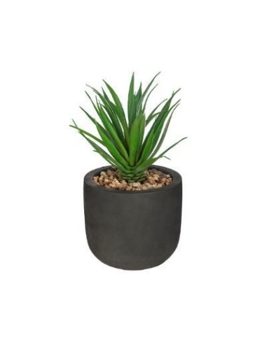160013 - plante verte etnik h20 L. 14 x P. 13,5 x H. 20 cm