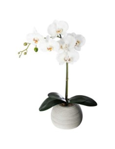 160018 - orchid pot ciment mimi h53