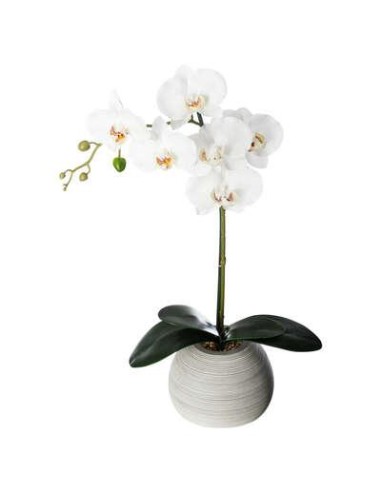160018 - orchid pot ciment mimi h53