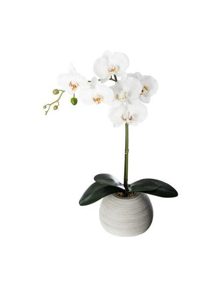 160018 - orchid pot ciment mimi h53
