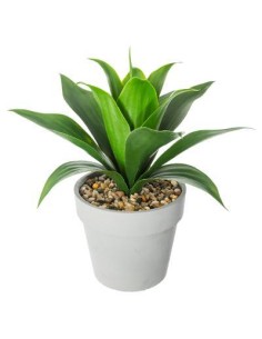 160073 - agave pot cim inora h34 L. 37 x P. 37 x H. 35,5 cm