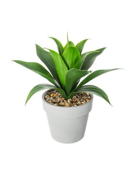 160073 - agave pot cim inora h34 L. 37 x P. 37 x H. 35,5 cm