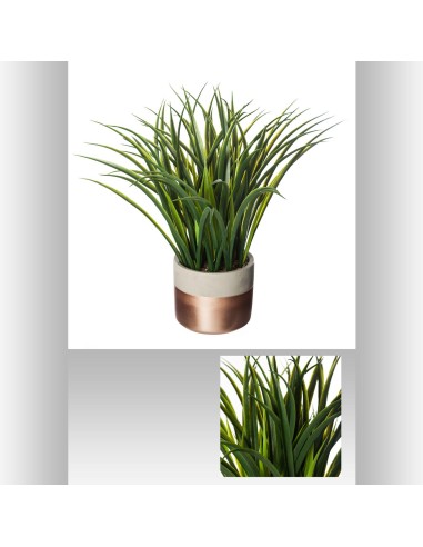 160075 - plante v cim h40 D. 45,5 x P. 38 cm