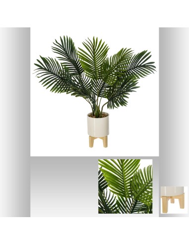 160076 - palmier pot s/p crmq inti h72