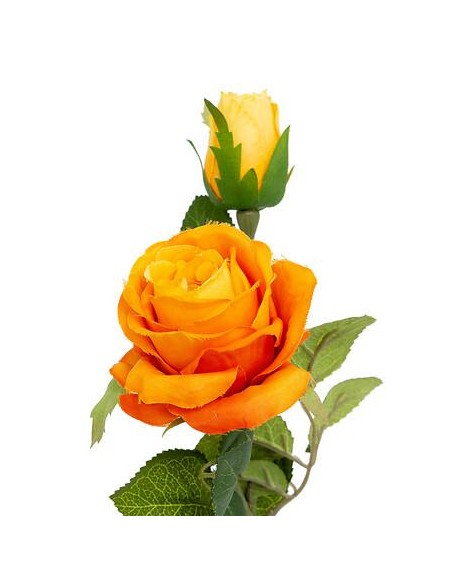 204262 - tige rose degrade james h46