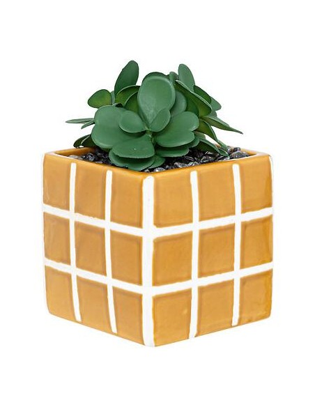 204210 - plante v pot crmq cor ass h17