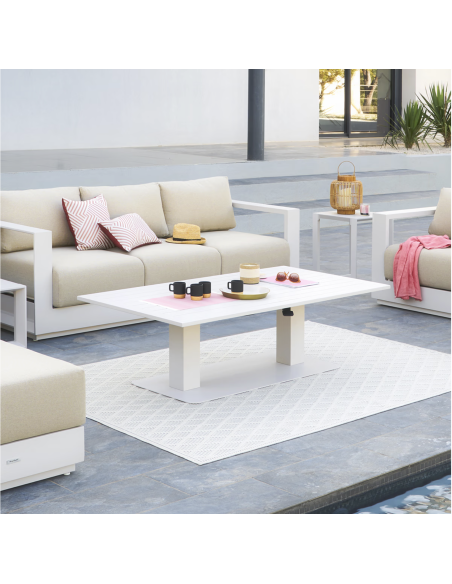 205198c - table rel rec salimia avoine