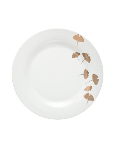 ass dess gingko or 19cm