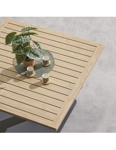 205235a - table rel car salimia graph/ho