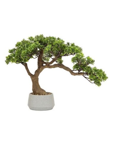 206548 - bonsai pot crmq polin h45