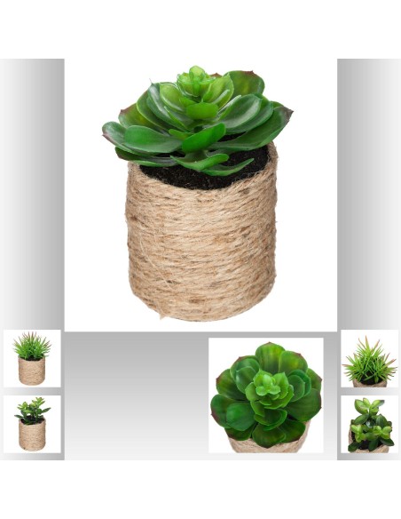 160065 - plante g pot nat gip h16