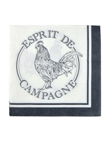 set de 20 serviettes en papier 3 plis 33*33cm esprit de campagne