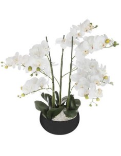 155640a - orchid pot crmq sanae nr h65
