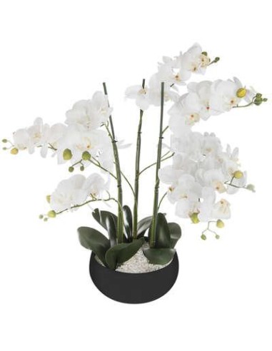 155640a - orchid pot crmq sanae nr h65