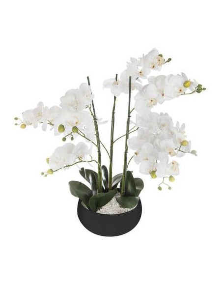 155640a - orchid pot crmq sanae nr h65