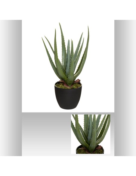 173017 - aloe real touch h44