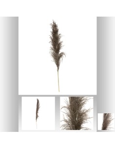 179282b - pampa nat x3 gobi brune h110