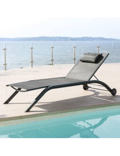 159877 - transat milenio anth/graph