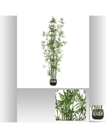 181473 - bambou pot crmq yori nr h180