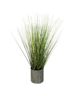 160035 - bunch herbe pot met yuri h45 D. 24 x H. 45,8 cm