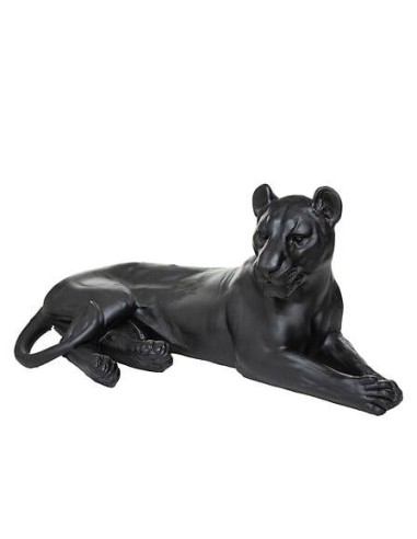 187936 - leopard rsn aylan h38 outdr